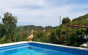 Live Finca El Gamonal Bajo Con Piscina Y Jardin En La Naturaleza